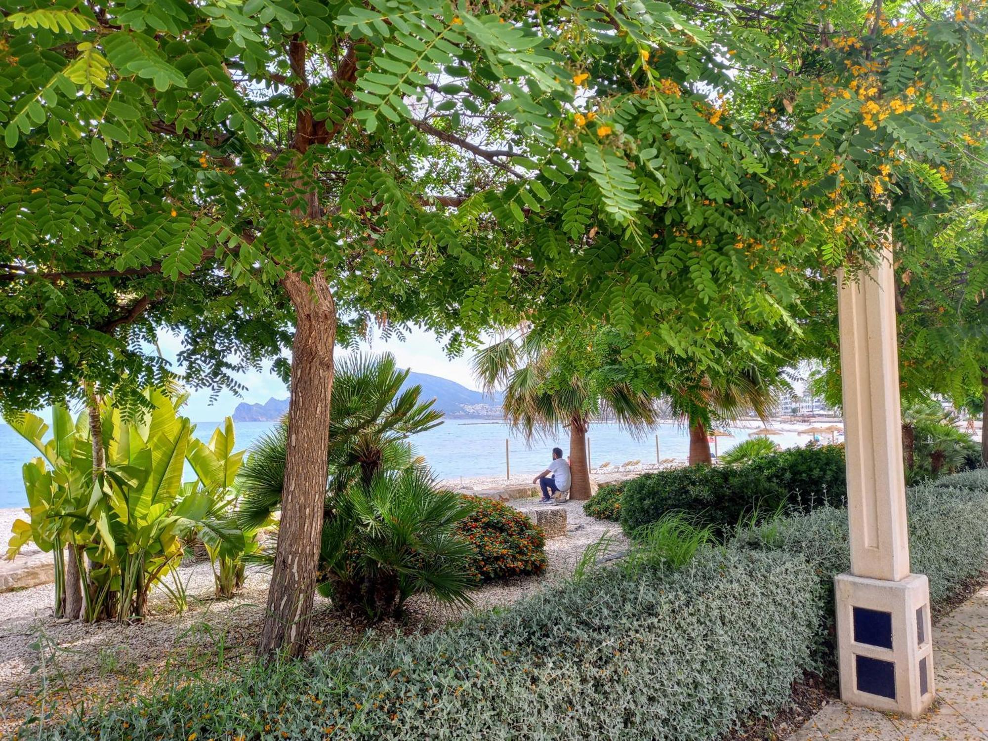 Townhouse Los Olivos M Altea Bagian luar foto